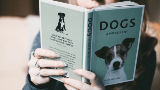 Top 10 Dog Books 2019