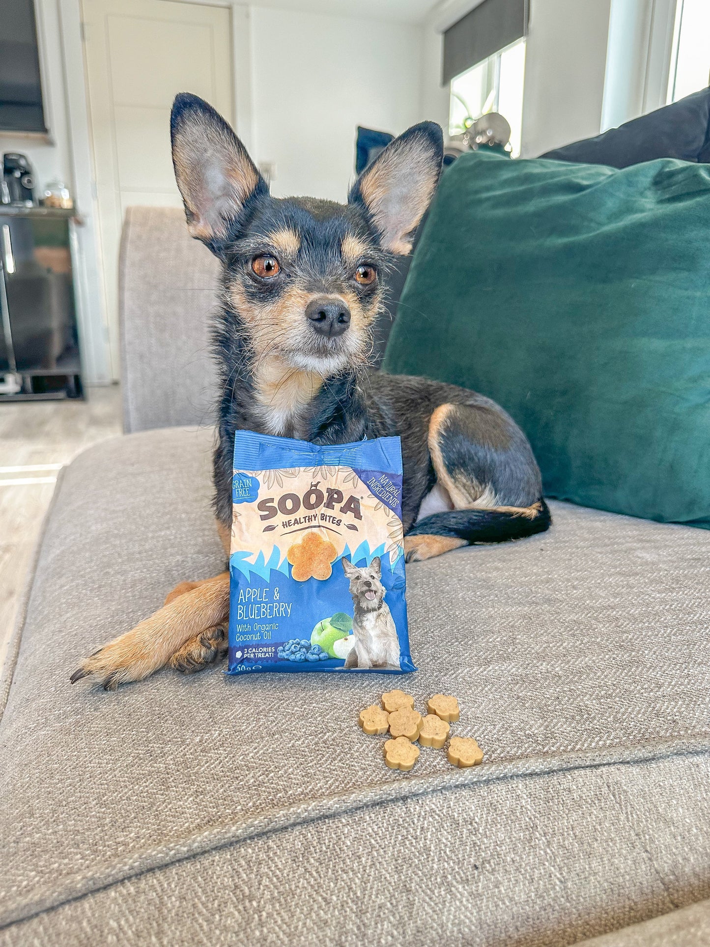 10 X - Soopa Healthy Bites Dog Treats Variety Bundle - Green Coco