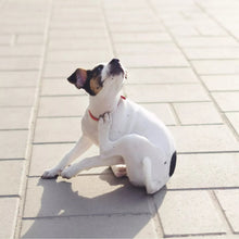 Load image into Gallery viewer, 9 x Jr Pet Products 100% Meat Sticks Dog Treats - Ultimate Variety Bundle Pack - Green Coco