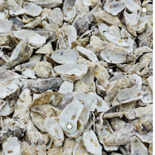 Load image into Gallery viewer, Ecohound 1000 Large Dog Poop Bags with Handles & Hanging Tab - Green Coco