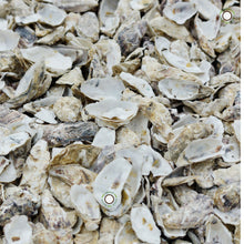 Load image into Gallery viewer, Ecohound 240 Small Eco - Friendly Dog Poop Bags with Handles - Green Coco