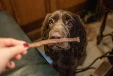 Load image into Gallery viewer, Jr Pet Products 100% Kangaroo Meat Sticks Dog Hypoallergenic Treats - Green Coco