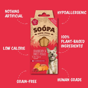 10 X - Soopa Dog Dental Sticks Mix Variety Super Bundle - Green Coco