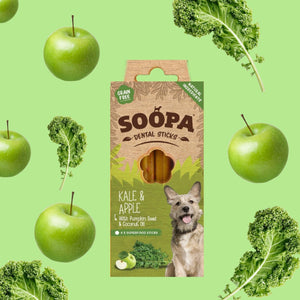 5 X - Soopa Dental Sticks Variety - Green Coco