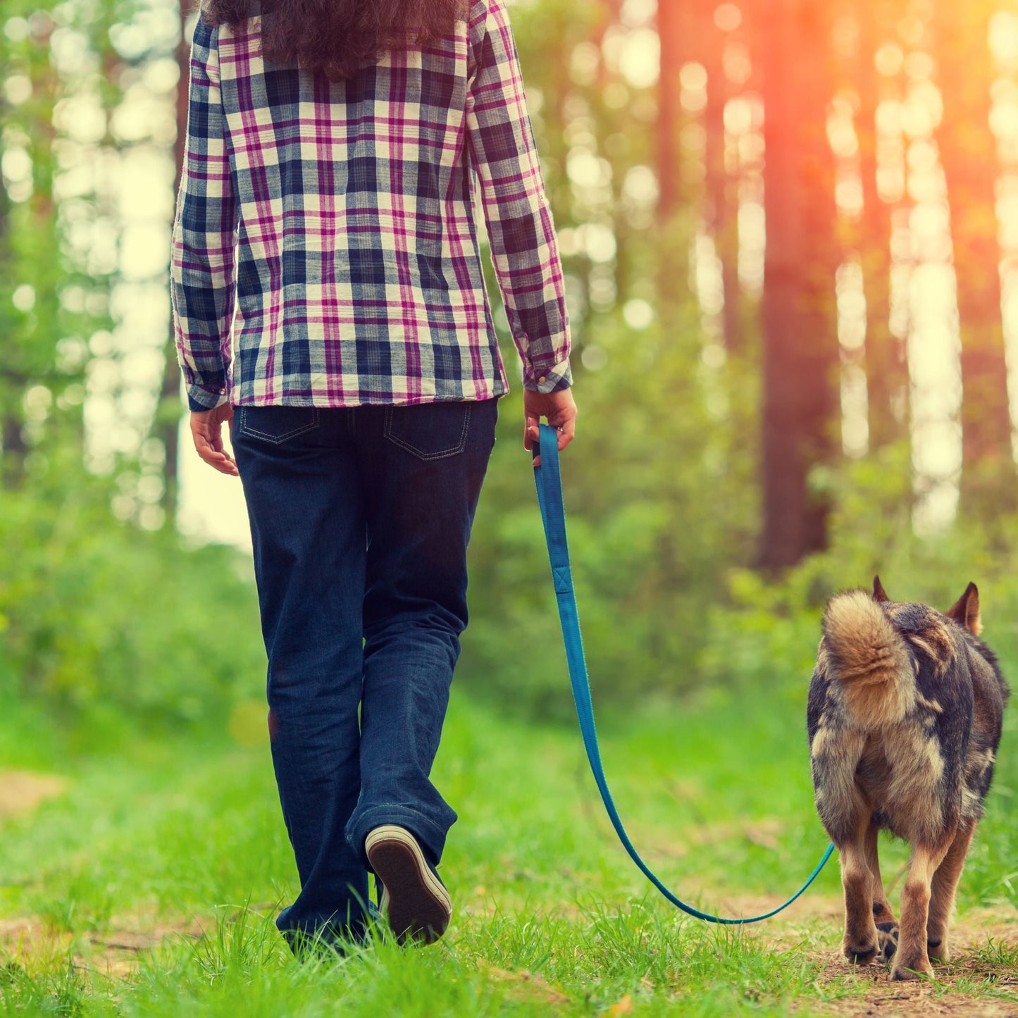 Beco 270 LARGE Dog Poop Bags - Mint Scented - Green Coco