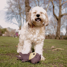Load image into Gallery viewer, Beco Eco Recycled Dog Soft Toy - Toby The Teddy - Green Coco
