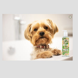 Chamomile Dog & Puppy Shampoo - 400 ml - Green Coco