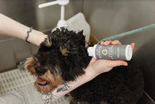Load image into Gallery viewer, For All DogKind - Topical Ear Cleaner - Green Coco
