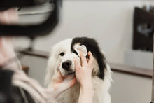 Load image into Gallery viewer, For All DogKind - Topical Tear Cleaner - Green Coco