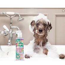 Load image into Gallery viewer, Lavender Dog Shampoo - 400 ml - Green Coco