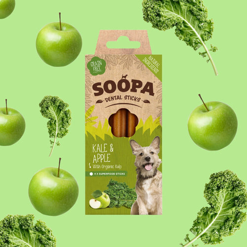 Soopa Dental Sticks - Kale & Apple - Green Coco
