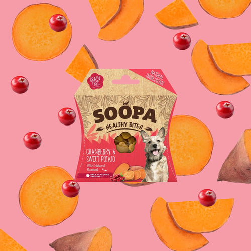 Soopa Healthy Bites - Cranberry & Sweet Potato - Green Coco