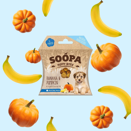 Soopa Puppy Healthy Bites - Banana & Pumpkin - Green Coco