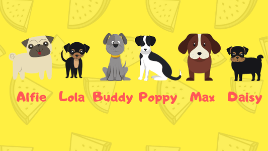 Top Ten most popular Dog names - Green Coco