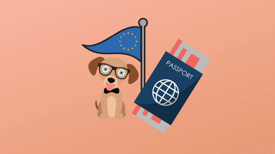 Travelling with your dog to Europe - Green Coco