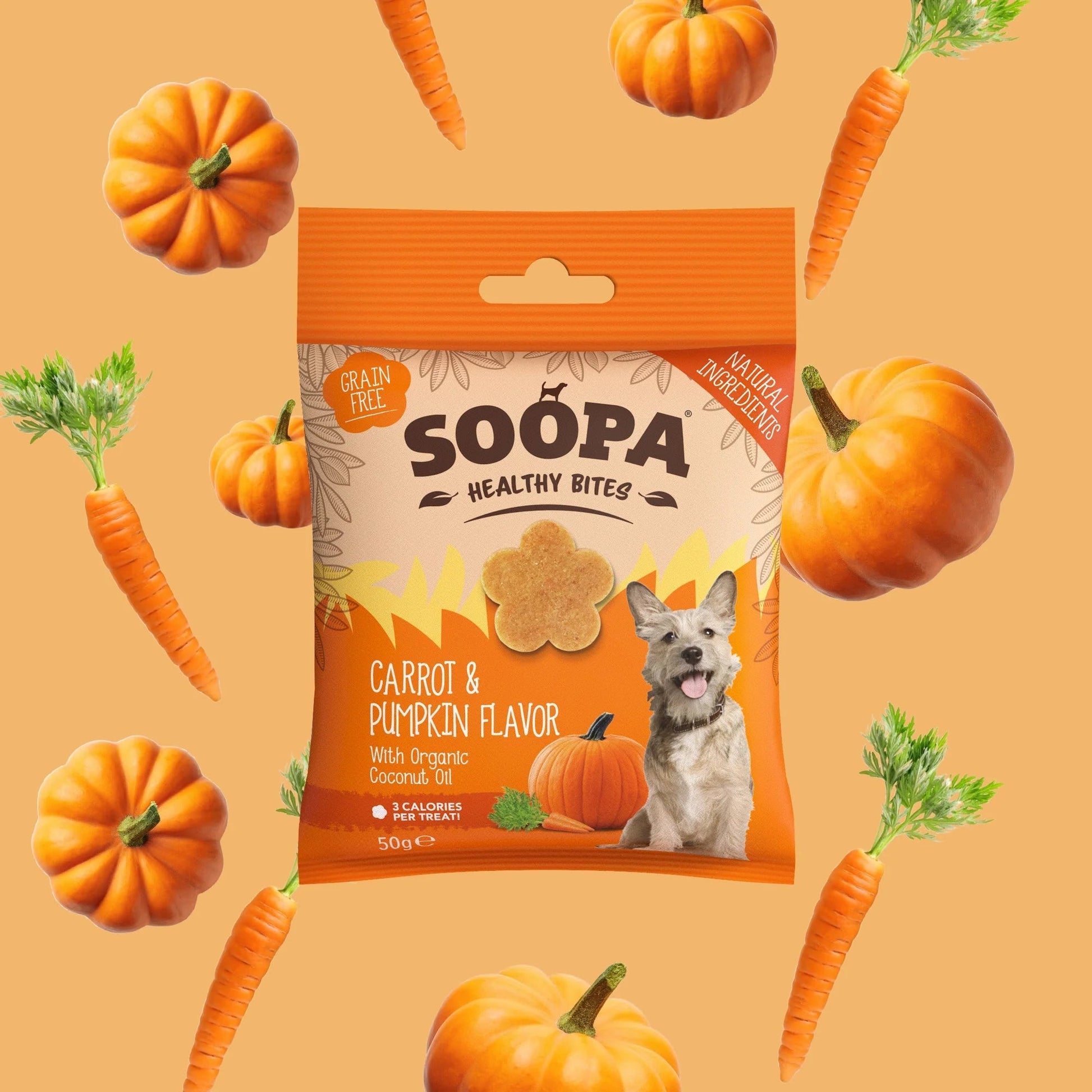 5 X - Soopa Healthy Bites Variety Bundle - Green Coco