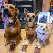 Load image into Gallery viewer, 8 x Jr Pet Products 100% Meat Dog Sticks Treats - Classic Variety Bundle - Green Coco
