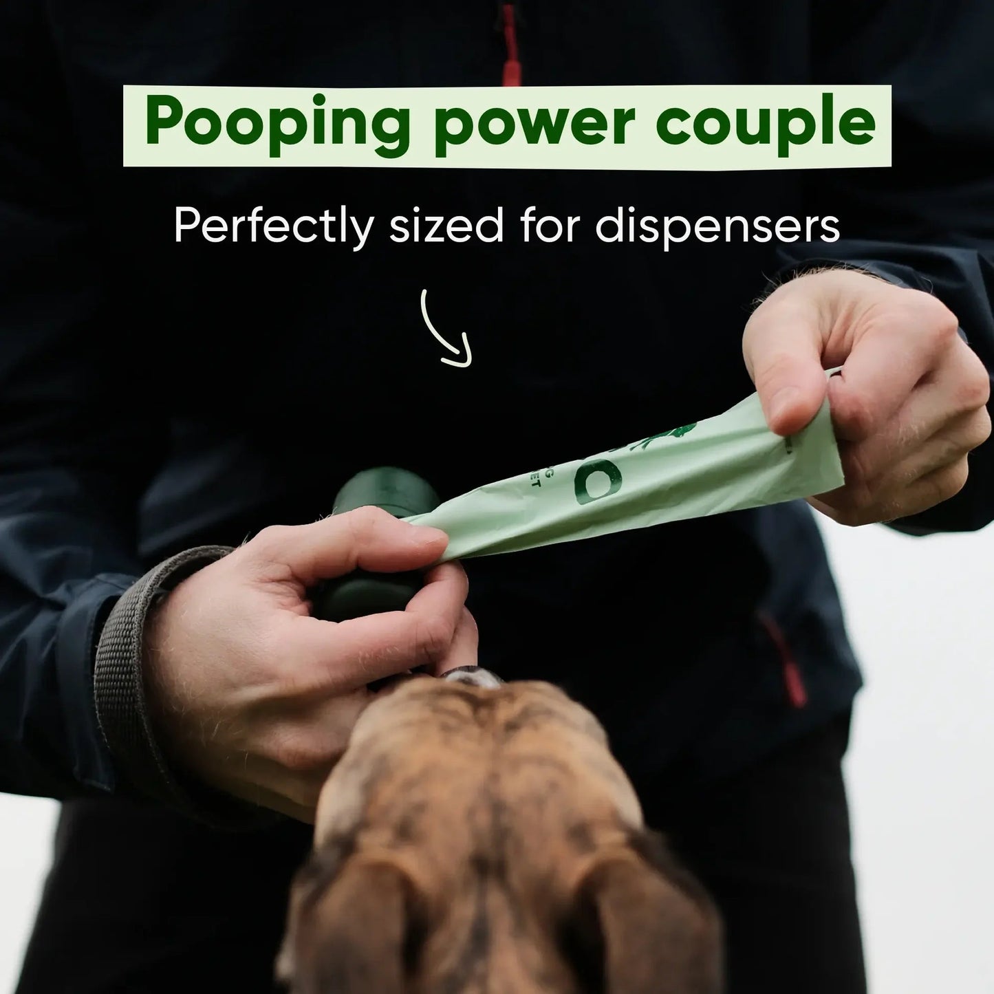 Beco 540 LARGE Unscented Dog Poop Bags On Rolls - Jumbo Value Pack - Green Coco