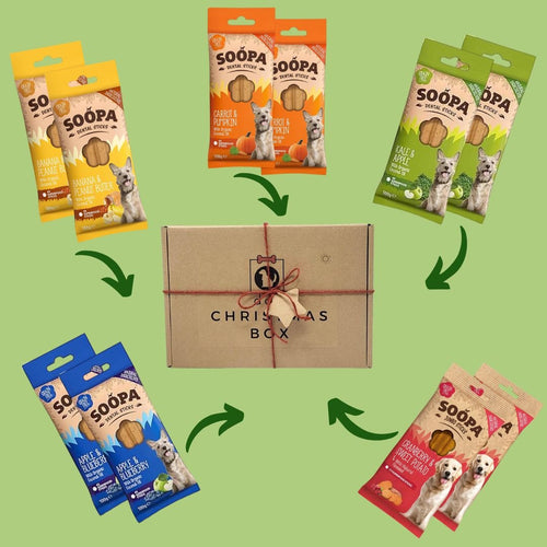 Christmas Dog Gift Box - Soopa Dog Dental Sticks Mix Treats Variety Bundle - Green Coco