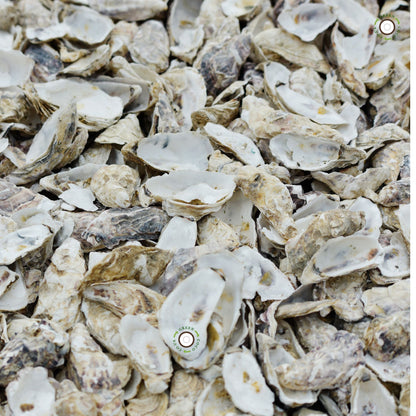 Ecohound 1000 Large Dog Poop Bags with Handles & Hanging Tab - Green Coco