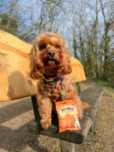 Load image into Gallery viewer, Soopa Healthy Bites - Carrot &amp; Pumpkin
