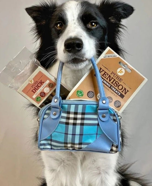 Jr Pet Products 100% Duck Meat Sticks Dog Hypoallergenic Treats - Green Coco