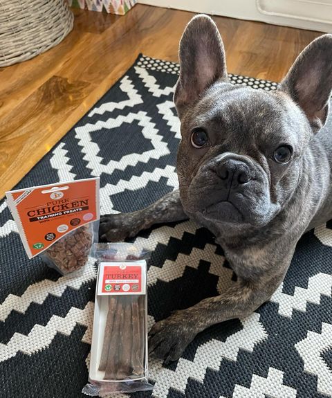 Jr Pet Products 100% Turkey Meat Sticks Dog Hypoallergenic Treats - Green Coco