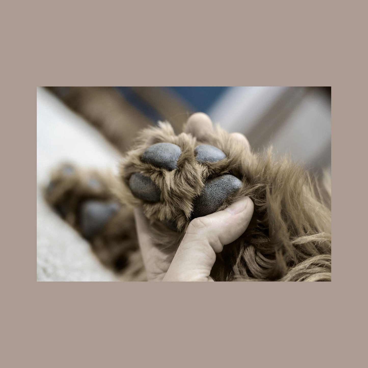 Oomeo 100% Natural Dog Paw Balm - 30 ml Pot - Green Coco