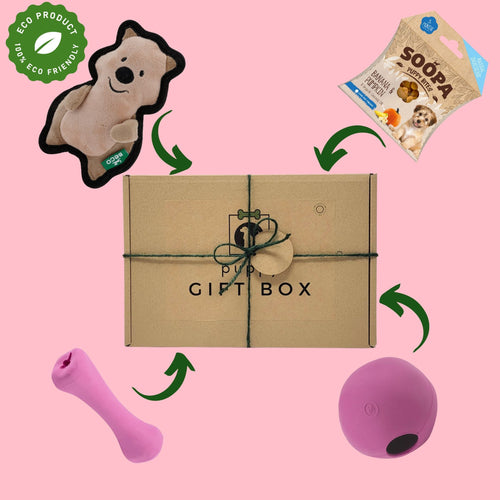 Puppy Gift Box - The Little Pup Pink Box - Green Coco