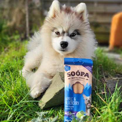 Soopa Dental Sticks - Apple & Blueberry - Green Coco