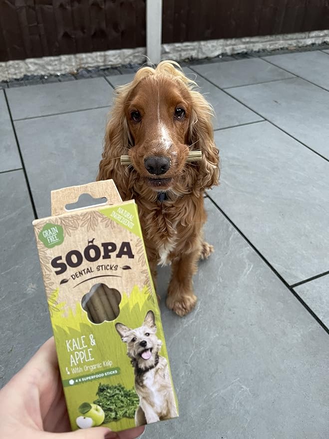 Soopa Dental Sticks - Kale & Apple - Green Coco