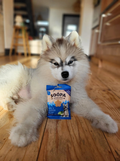 Soopa Healthy Bites - Apple & Blueberry - Green Coco