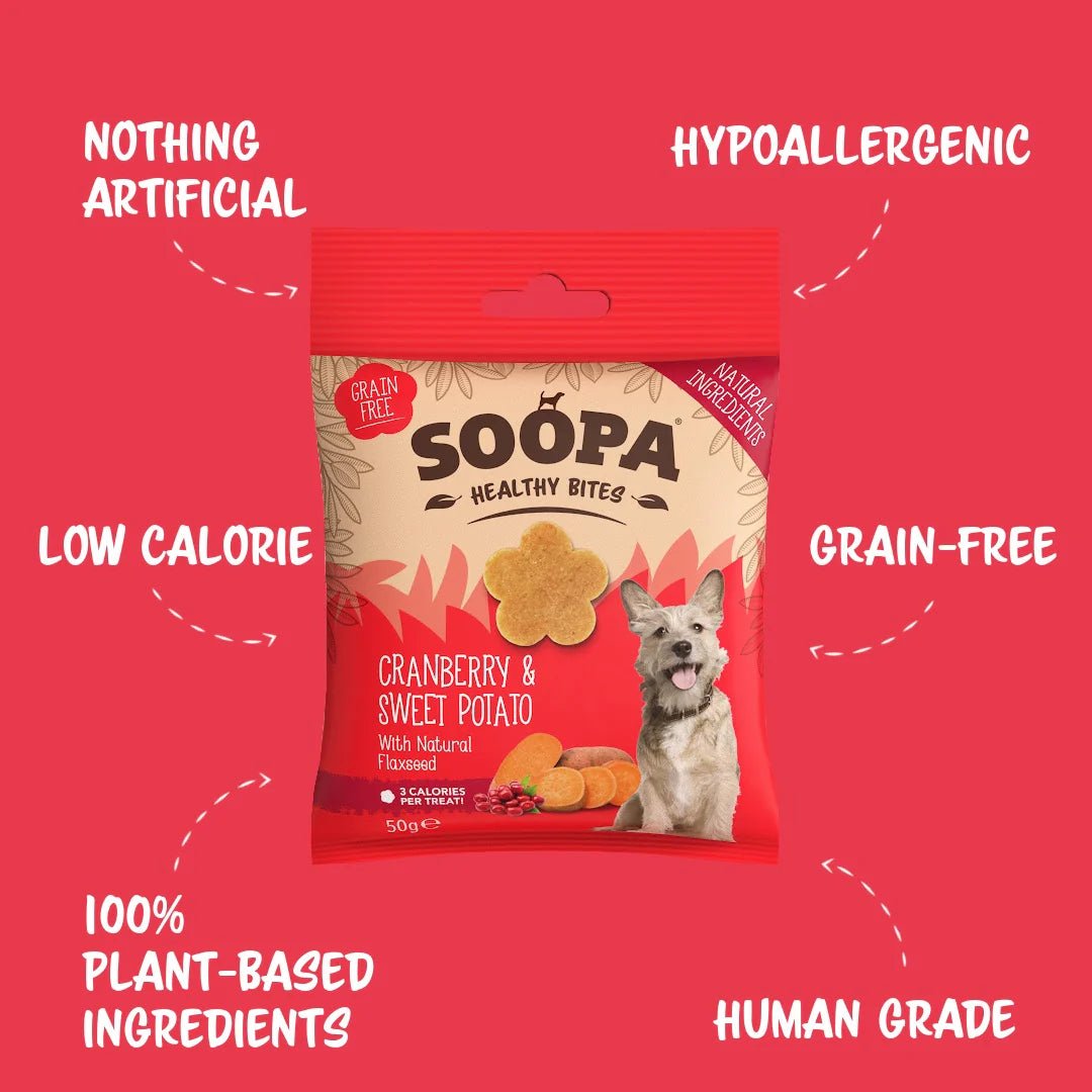 Soopa Healthy Bites - Cranberry & Sweet Potato - Green Coco