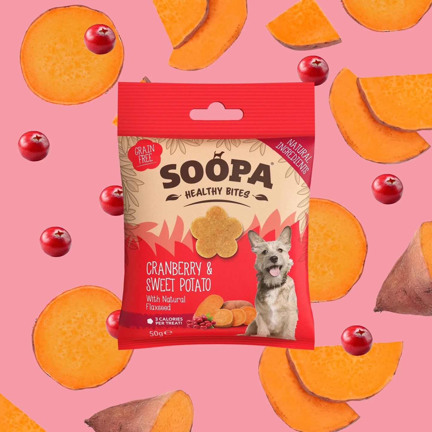 Soopa Healthy Bites - Cranberry & Sweet Potato - Green Coco