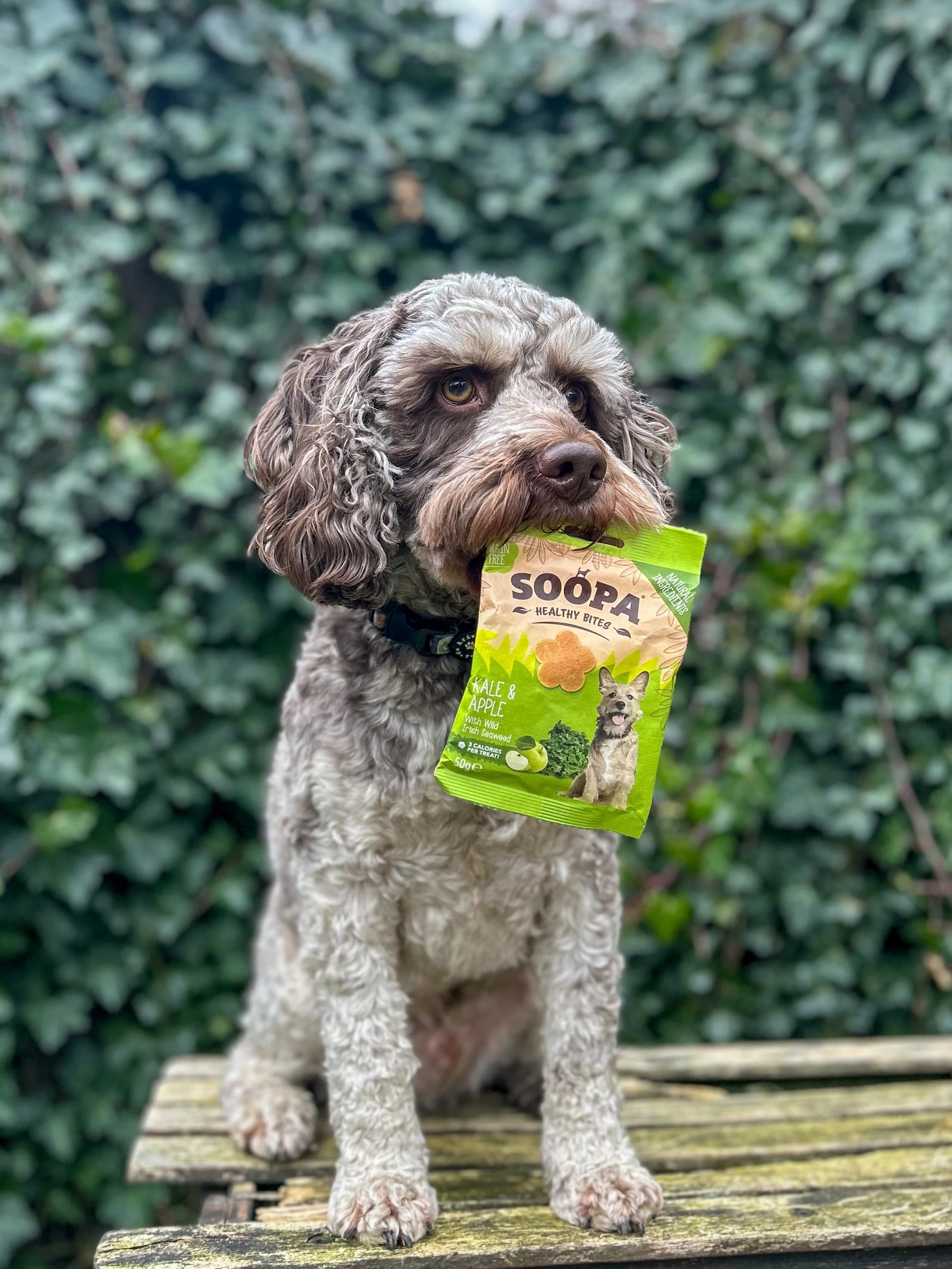 Soopa Healthy Bites - Kale & Apple - Green Coco