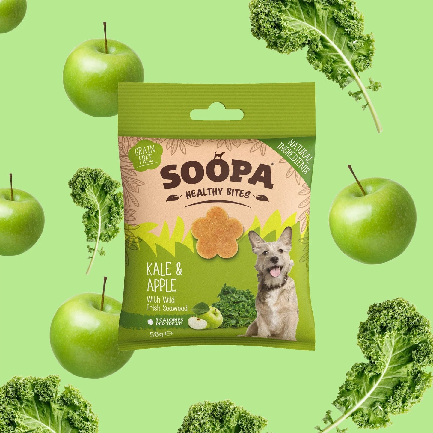 Soopa Healthy Bites - Kale & Apple - Green Coco