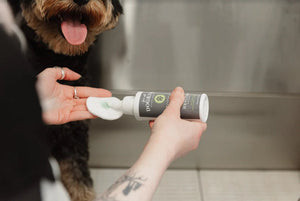 For All DogKind - Topical Ear Cleaner - Green Coco