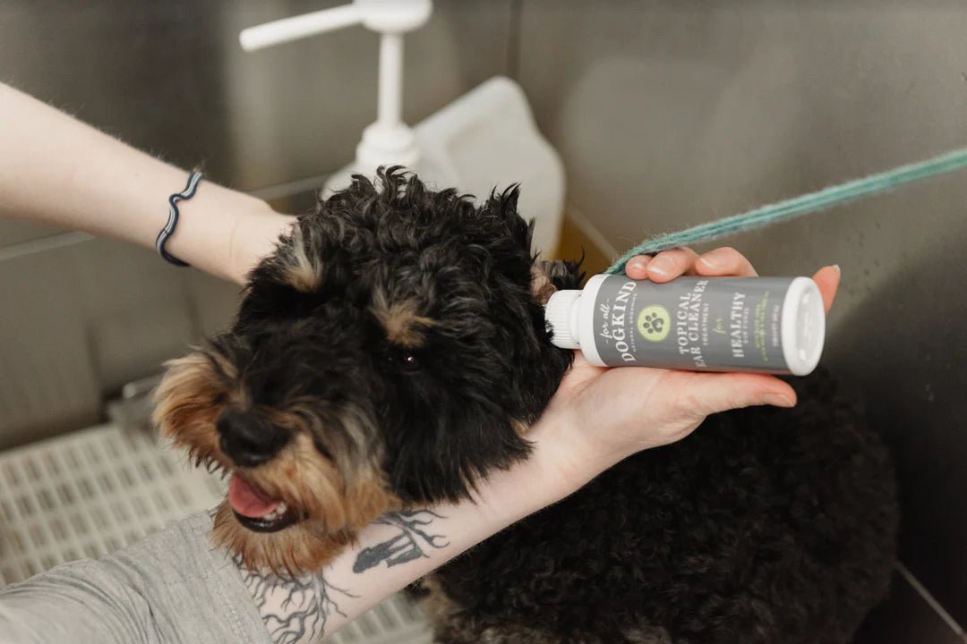 For All DogKind - Topical Ear Cleaner - Green Coco