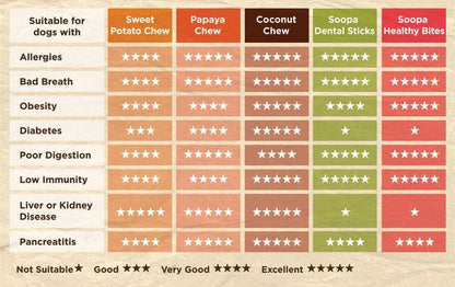 Soopa Dental Sticks - Apple & Blueberry - Green Coco