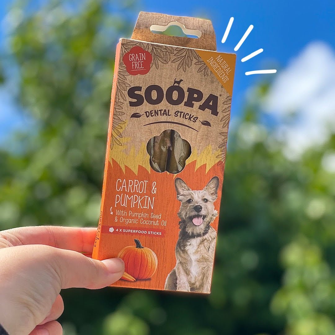 Soopa Dental Sticks - Carrot & Pumpkin - Green Coco