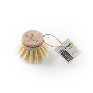 Wooden Dish Brush (FSC 100%) - Green Coco